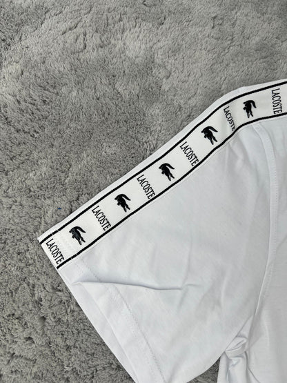 Conjunto Corto Lacoste White