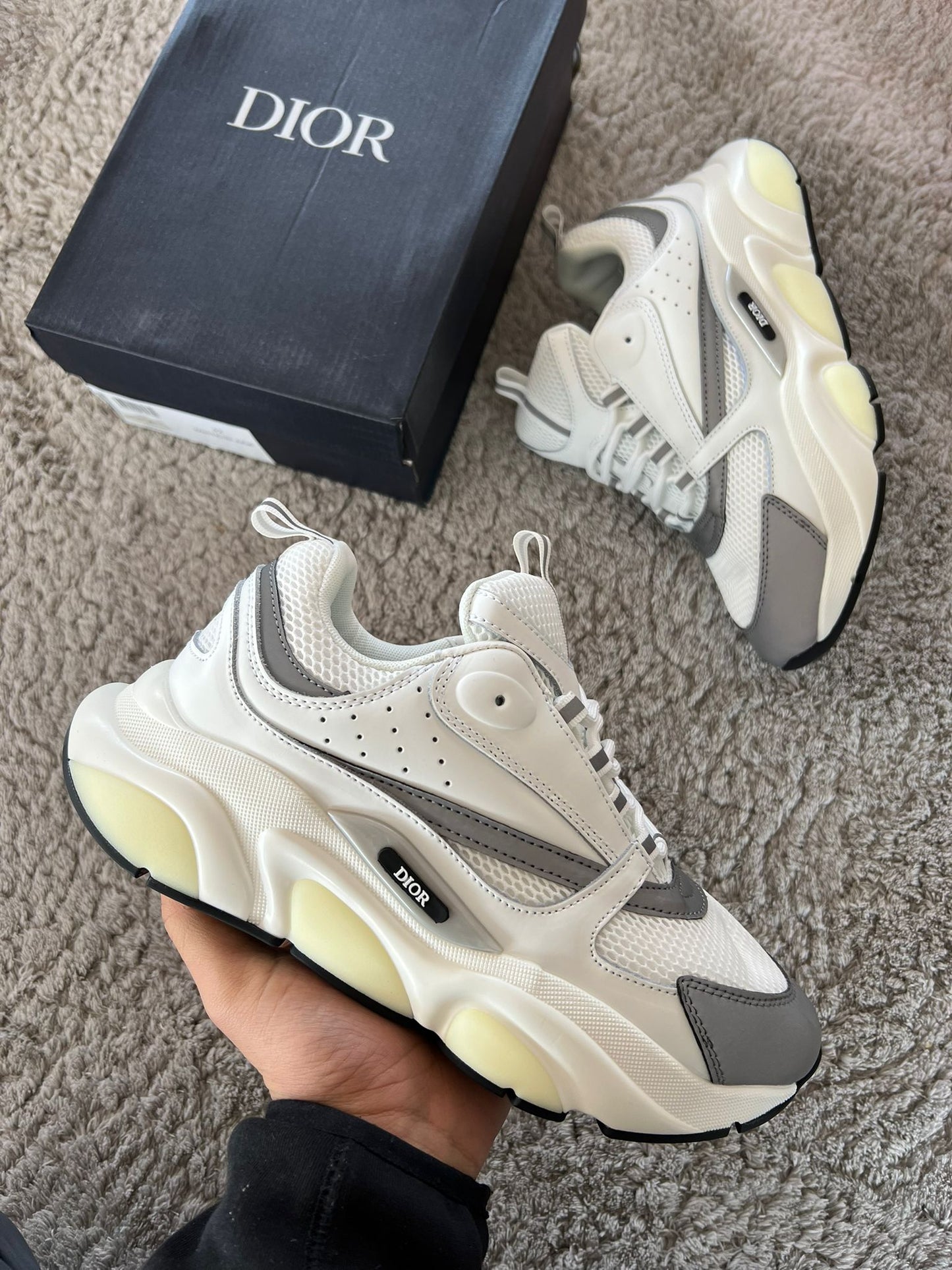 DIOR B22