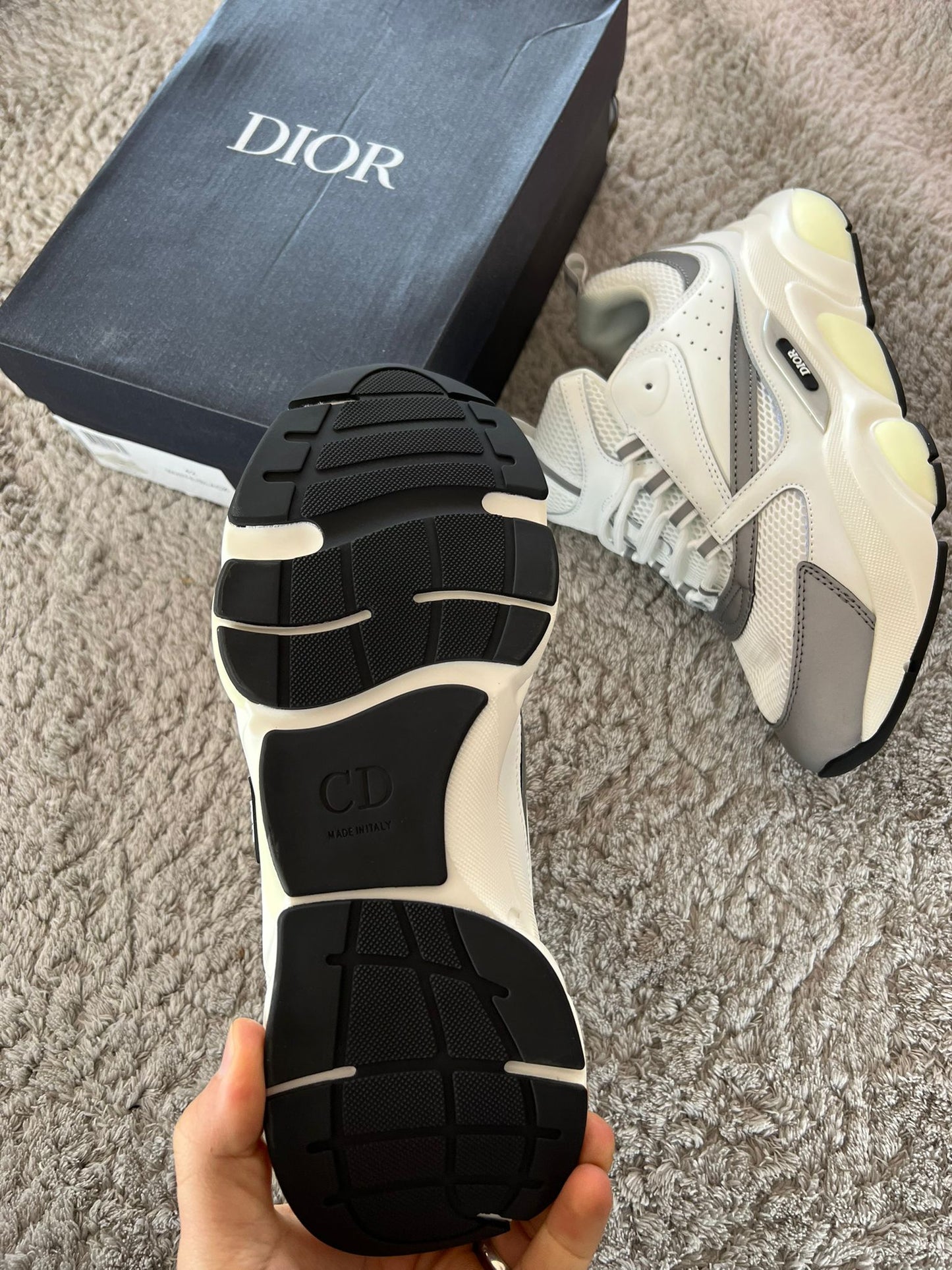 DIOR B22