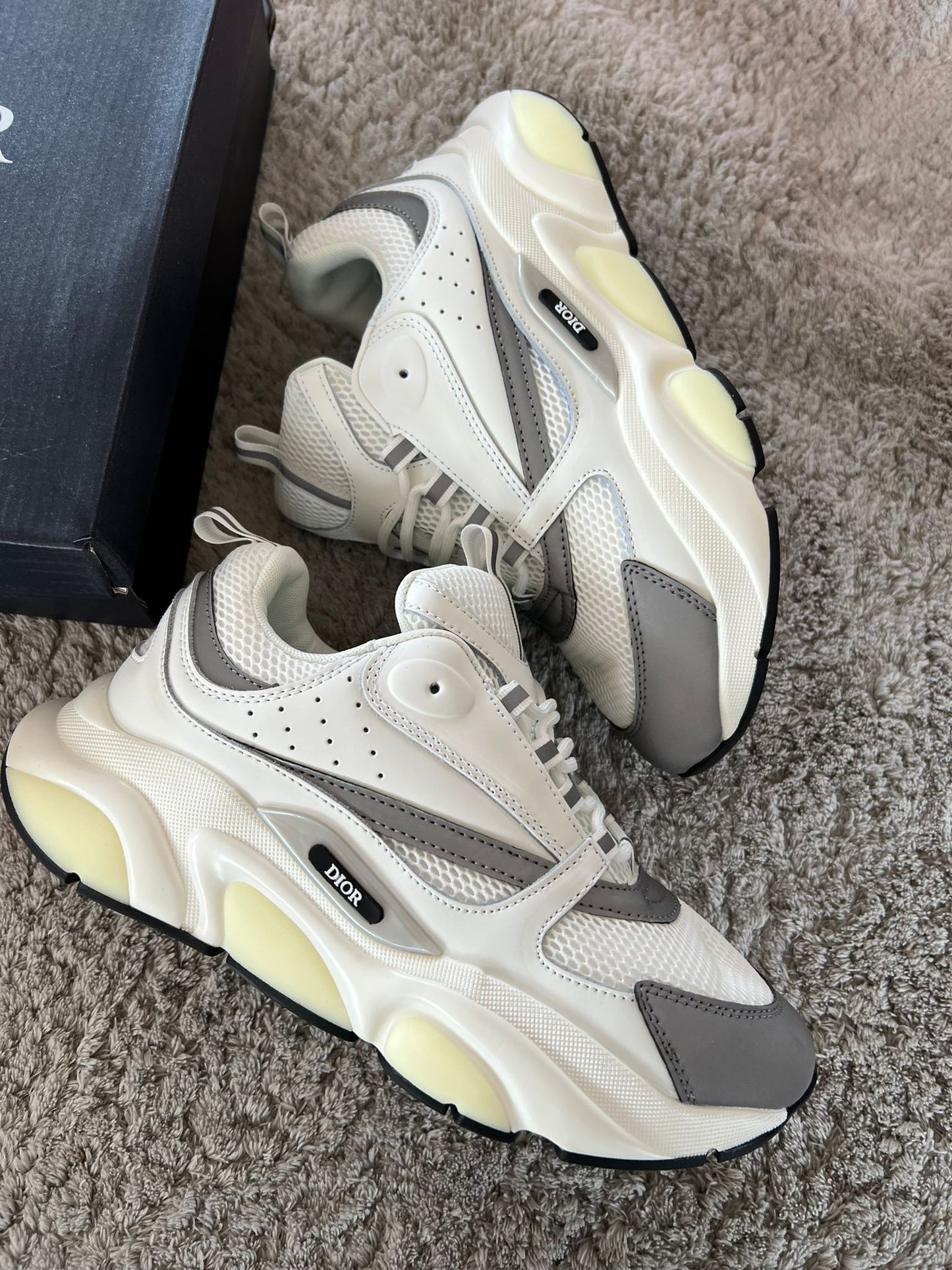 DIOR B22