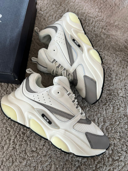 DIOR B22