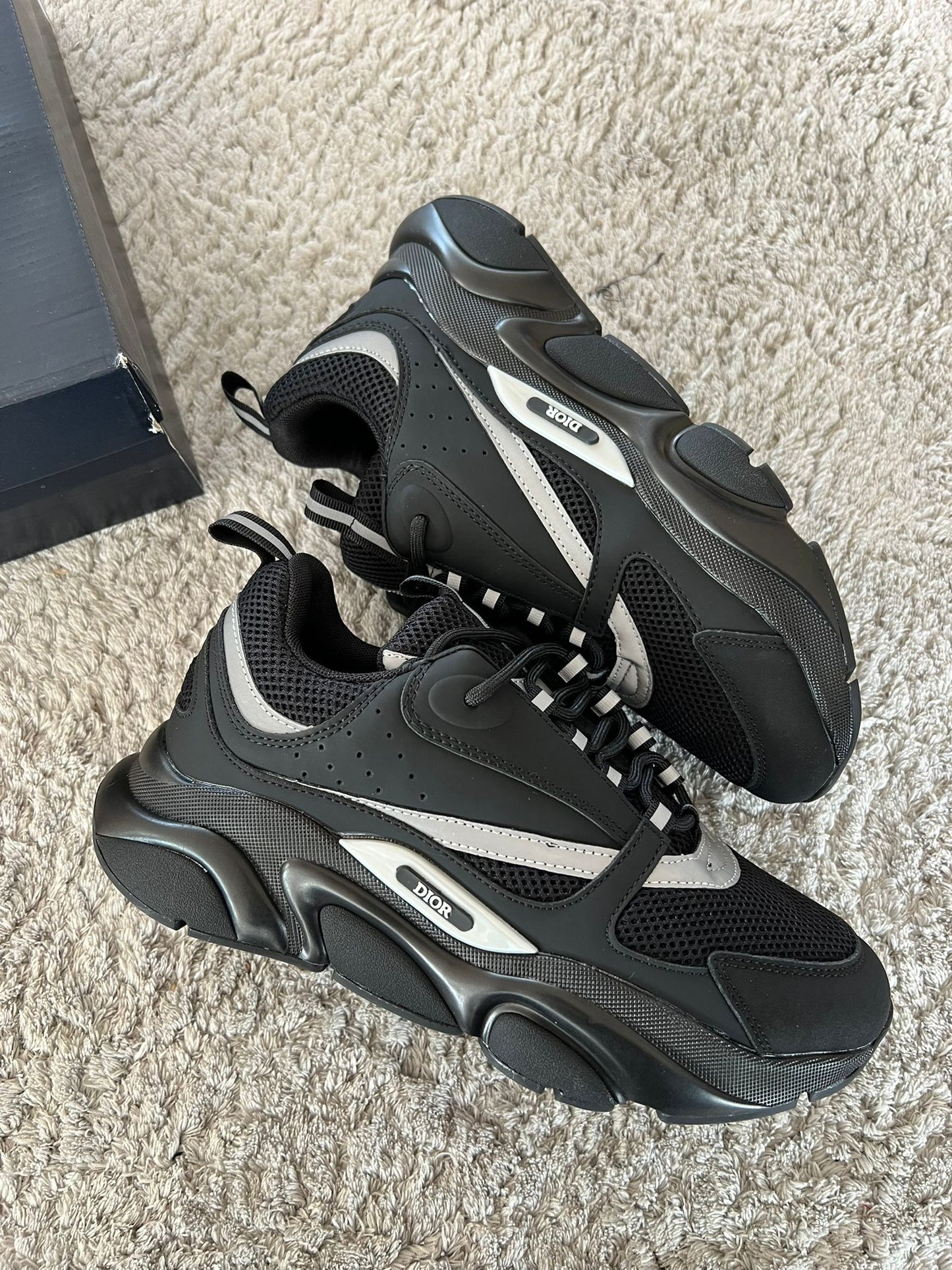DIOR B22